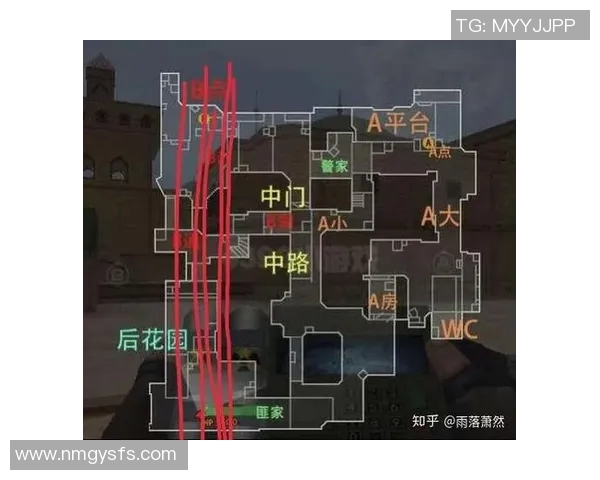 电竞新闻和平精英V5版本深度解析防反机制及其战术应用技巧